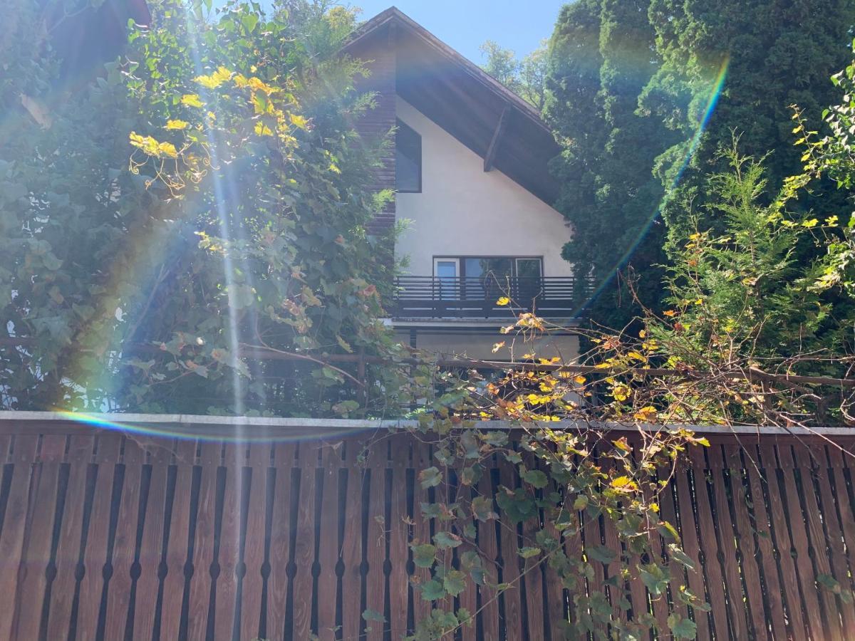 Timi Residence Brașov Exterior foto