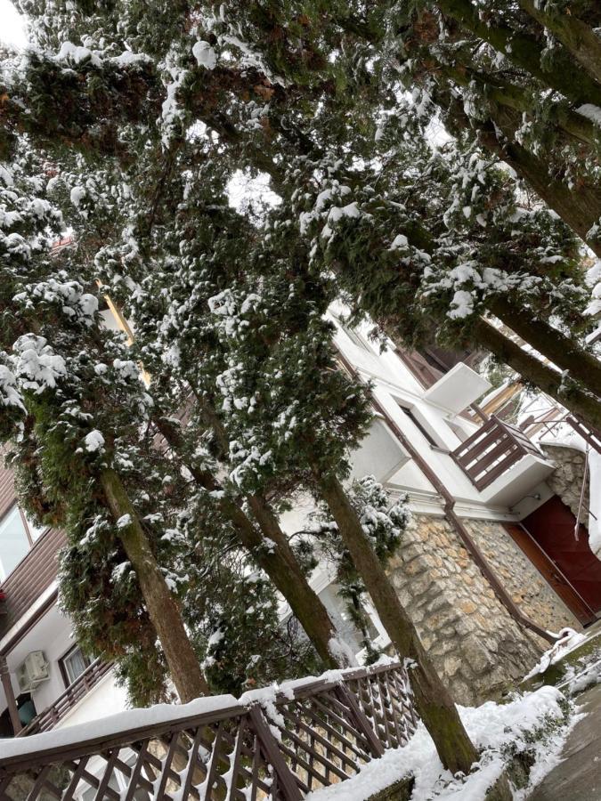 Timi Residence Brașov Exterior foto